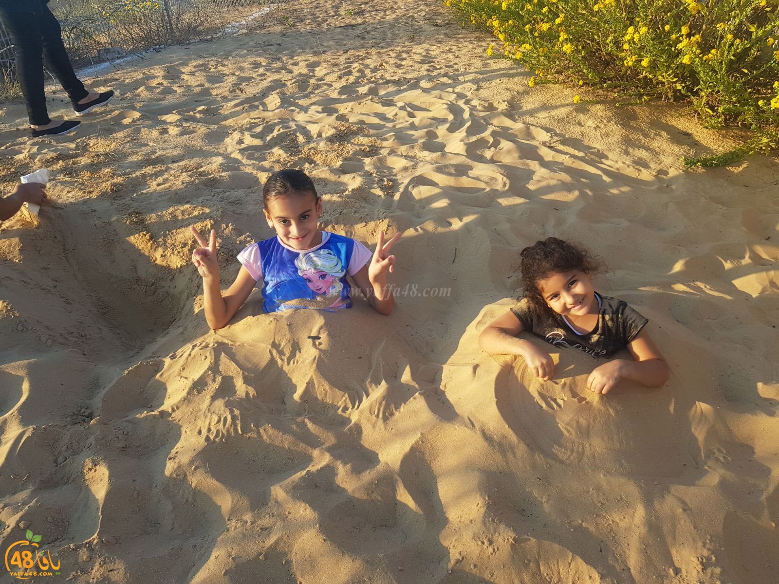 robenerejq (34).jpeg